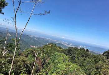 可可山第 7 张图片