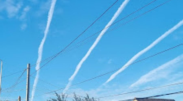 Танцевальная студия Flamingo