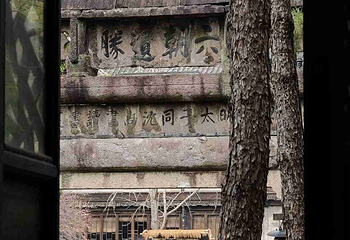 乌镇第 220 张图片