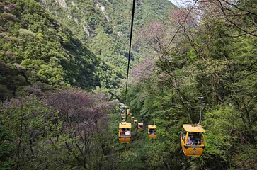 太平国家森林公园第 93 张图片