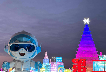 哈尔滨冰雪大世界第 103 张图片
