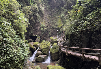 青城山第 335 张图片