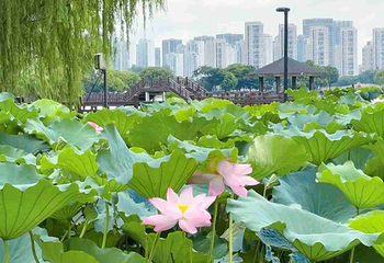 石湖景区第 149 张图片