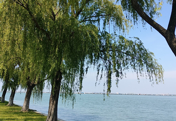 东太湖生态旅游度假区第 21 张图片