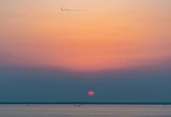 洞庭湖第 227 张图片