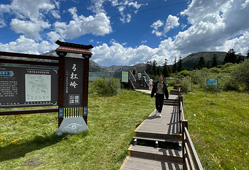 九寨沟风景区第 588 张图片