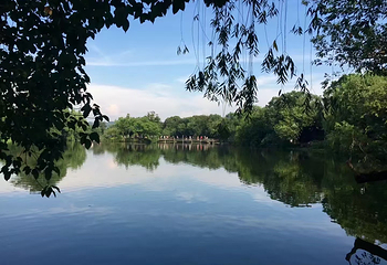 西湖风景名胜区第 230 张图片