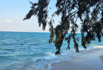 亚龙湾国家旅游度假区第 199 张图片