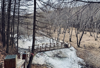 翠云山旅游度假区第 31 张图片
