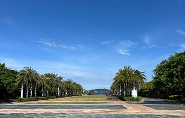 海棠广场第 14 张图片