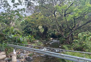 五指山水满河热带雨林风景区第 28 张图片