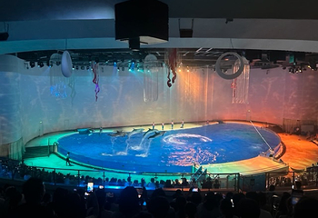 上海海昌海洋公园第 429 张图片
