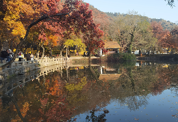 天平山第 50 张图片