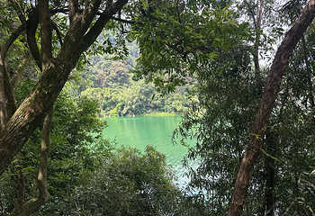 万绿湖风景区第 46 张图片