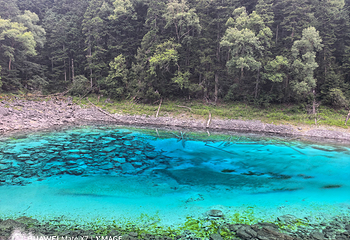 九寨沟风景区第 650 张图片