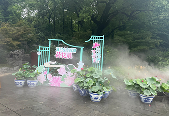 瘦西湖第 309 张图片