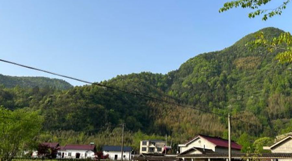 板桥自然保护区