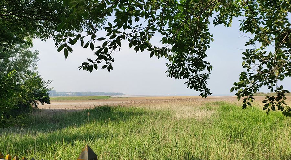 鸽子窝海鸥海滩