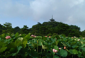 三溪园第 15 张图片