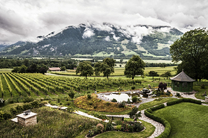 格雷辛格博物馆