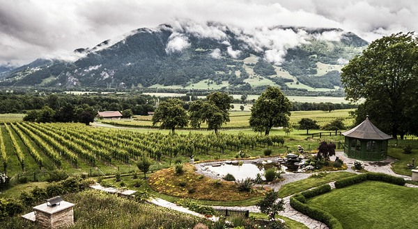 格雷辛格博物馆