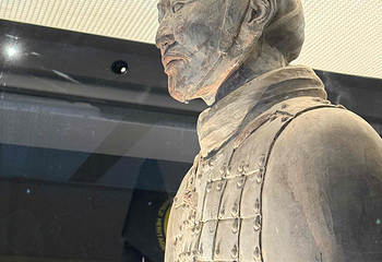 秦始皇帝陵博物院(兵马俑)第 433 张图片