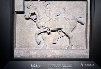 西安碑林博物馆第 26 张图片