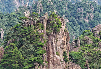 黄山风景区第 87 张图片