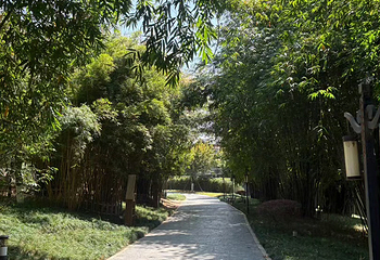 塔子山公园第 31 张图片