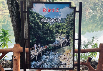 白水寨风景名胜区第 48 张图片