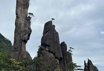 三清山风景区第 221 张图片