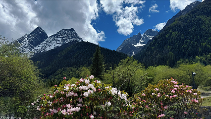 四姑娘山双桥沟景区第 67 张图片
