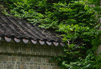 九龙口风景区第 21 张图片