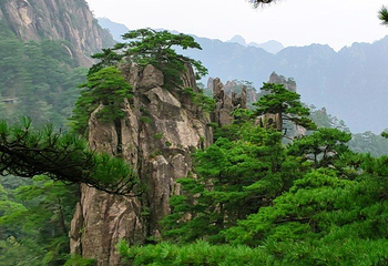 黄山风景区第 258 张图片