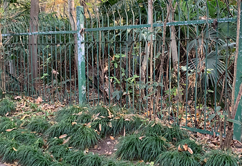 钟山风景名胜区第 176 张图片