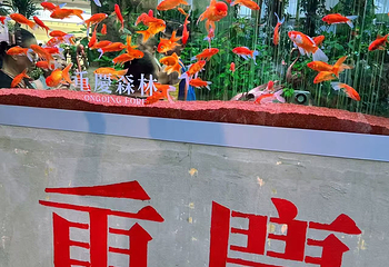 沐光森林(光环购物公园店)第 52 张图片