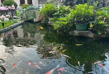 广州圣心大教堂第 108 张图片