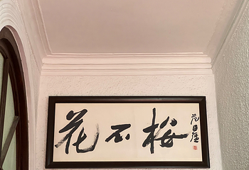 八大关第 103 张图片