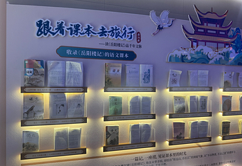 岳阳楼景区第 93 张图片