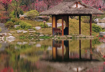 浣花溪公园第 28 张图片
