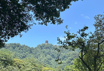 青城山第 214 张图片