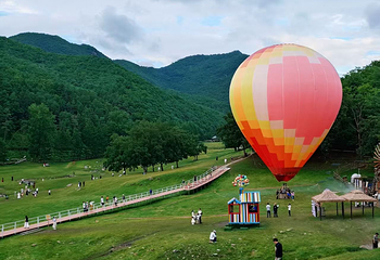 金山鹿苑第 14 张图片