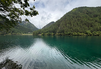 九寨沟风景区第 402 张图片