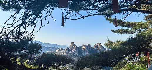 崂山风景区第 152 张图片