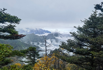 太白山国家森林公园第 31 张图片