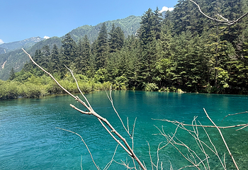 九寨沟风景区第 456 张图片