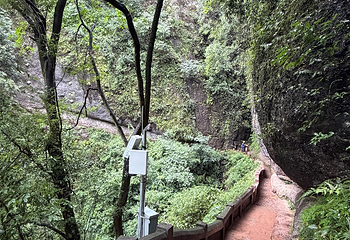 青城山第 435 张图片