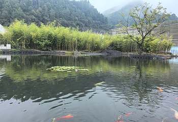 中国宣纸文化园第 60 张图片