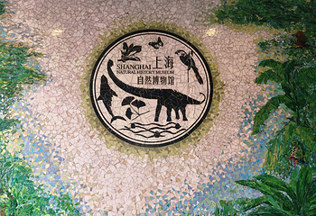 上海自然博物馆第 35 张图片