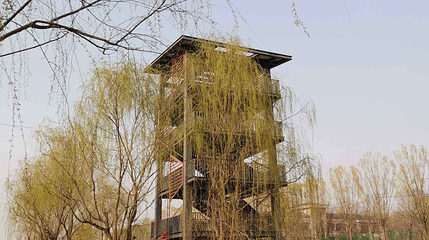 秦皇河国家湿地公园-观景塔第 1 张图片